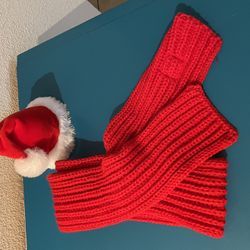 Santa Hat And Scarf For Dog
