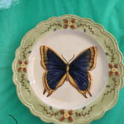 Butterfly Collection collectible plate Caligo Beatro Butterfly 
