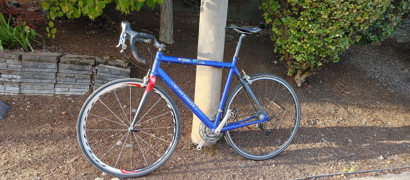 Scattante Road Bike $130