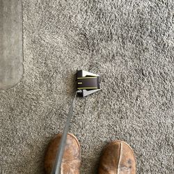 Scotty Cameron Potter