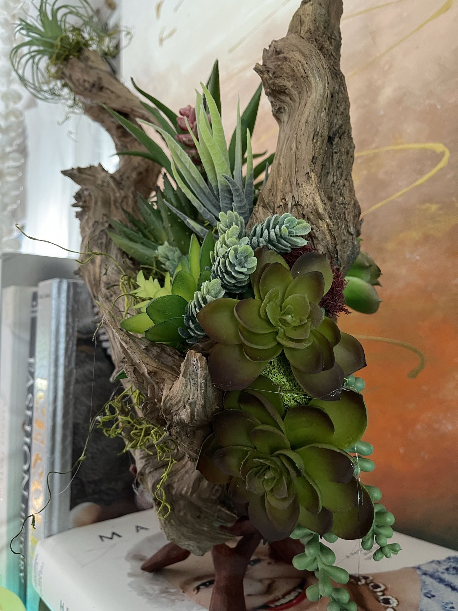 Succulent Driftwood Arraignment