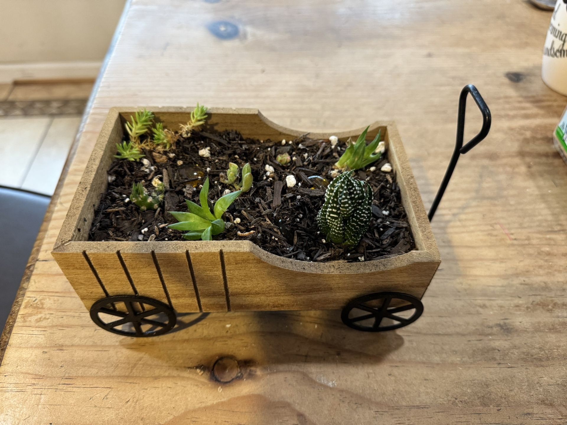 Small Succulent / Cactus Wagon