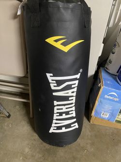 Everlast Punching Bag