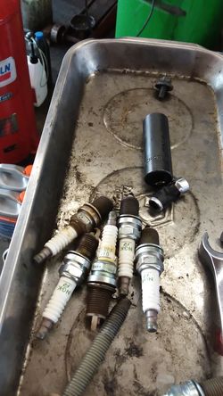Tune ups. Struts shocks.hoses.oil changes