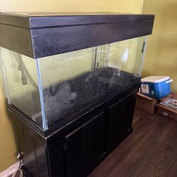 75 Gallon Aquarium With Accessories 