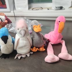Beanie Babies Retired Birds