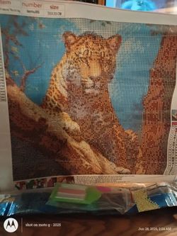 Leopard diamond painting complete kit