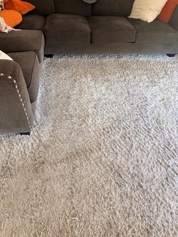 10 x 14 carpet