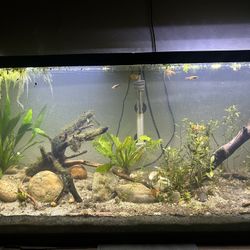 No, I Am Not Selling The Fish In The Tank. No I Am Not Selling L 75 Gallon Tank Comes With Filter Lights Heater, The Monitor Food And Lid Top Fin Band