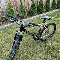 Trek Mountain Bike