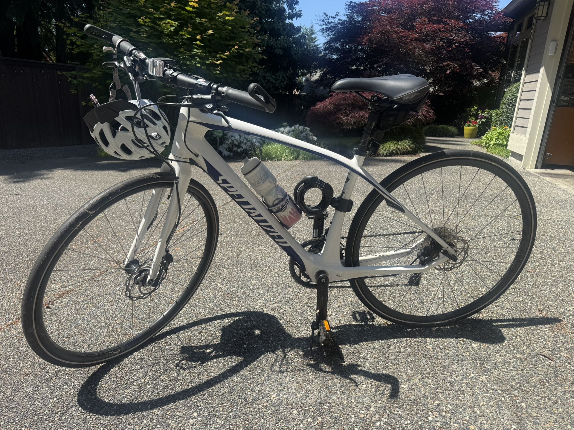 VITA Elite Carbon Disc Specialized Bike