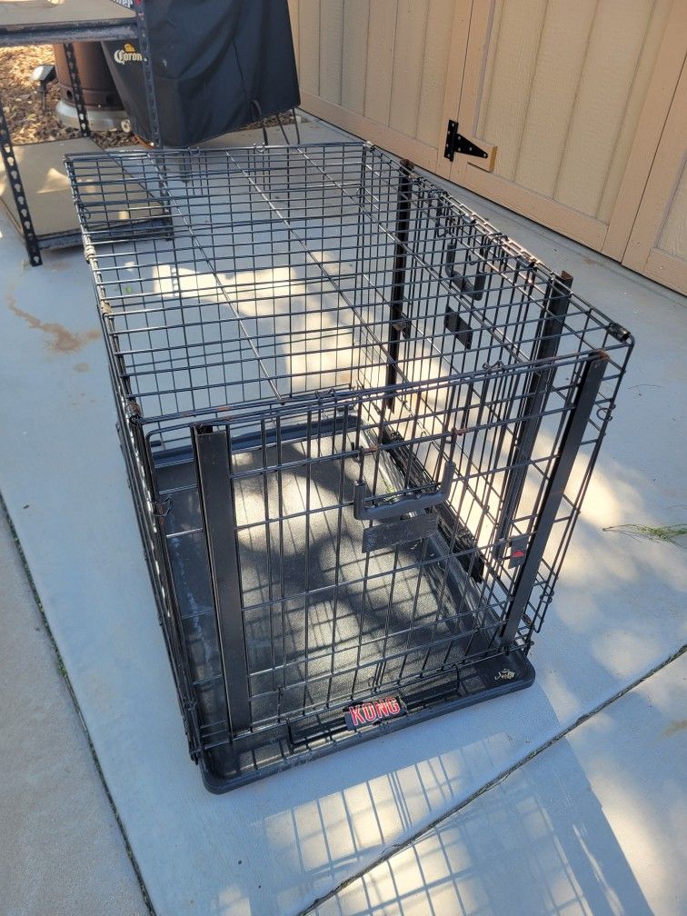 Kong Dog Kennel