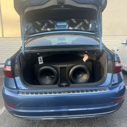 Two 12 in Subwoofer 