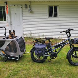 Ebike & accessories (Fucare Gemini X Sport rear drive)