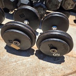 50lb dumbbells