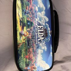 Nintendo Switch Carrying Case/handle