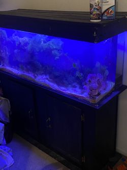 55 Gallon Uniquarium Fish Tank — Acrylic