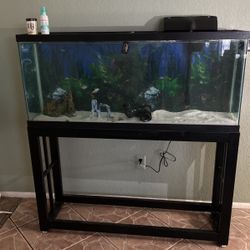 55 Gallon Fish Tank 