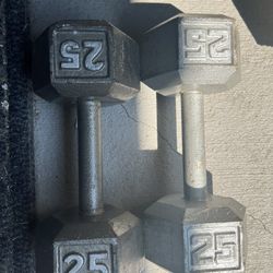 25 lb Weights 