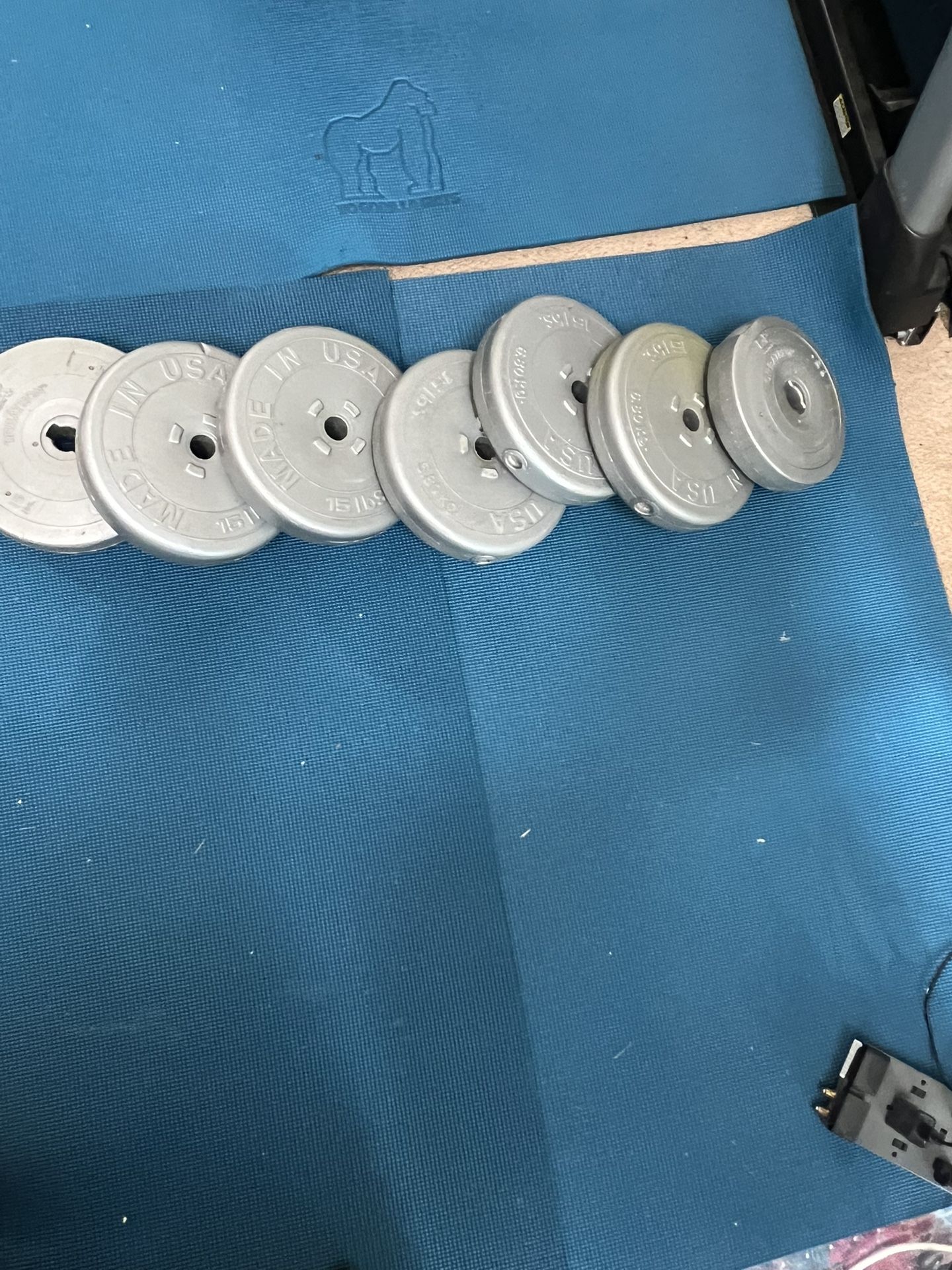 VINYL STANDARD 1-INCH WEIGHT PLATES—100 Lbs Total