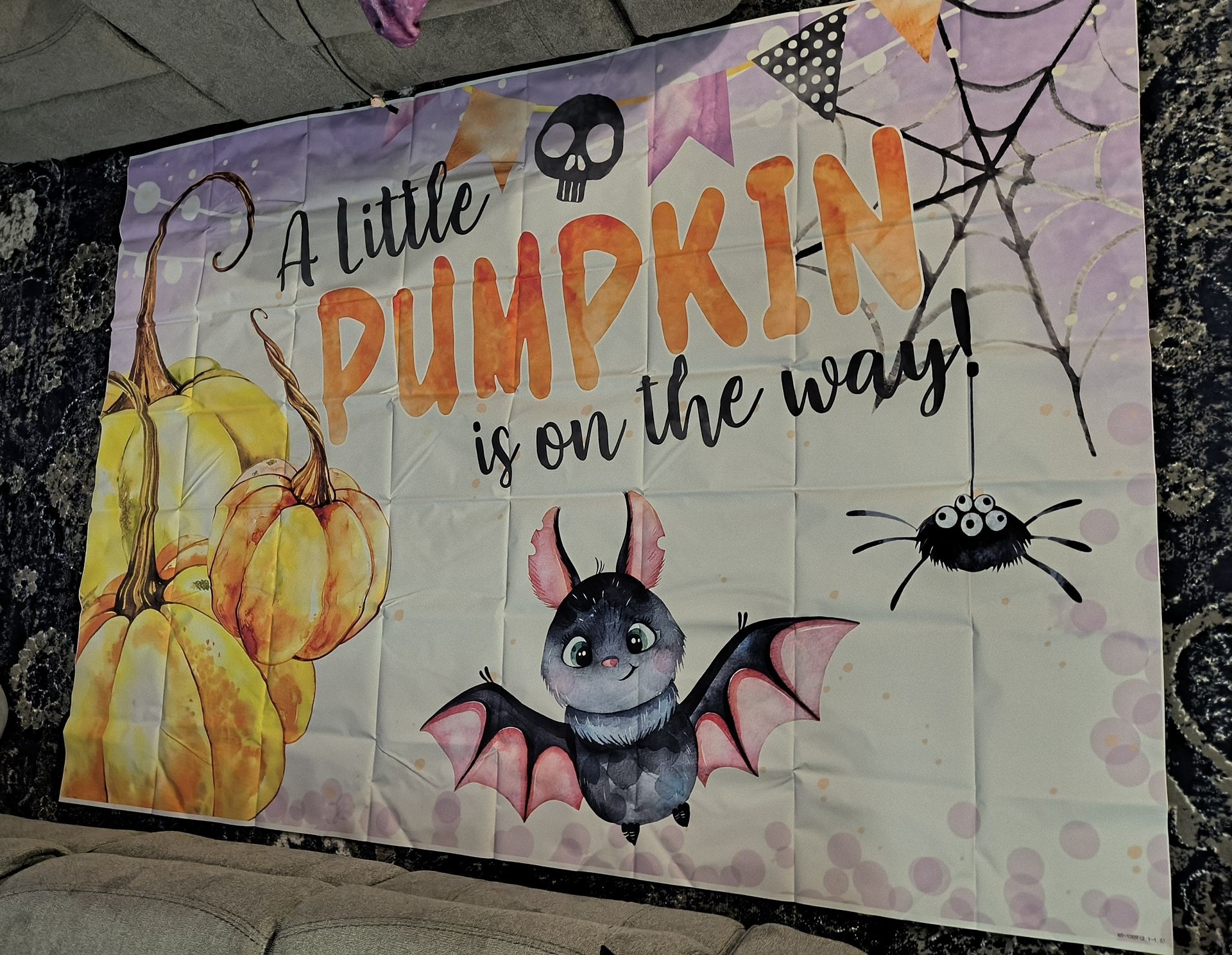 A Little Pumpkin Is On Th Way Backdrop