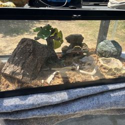Snake Tank