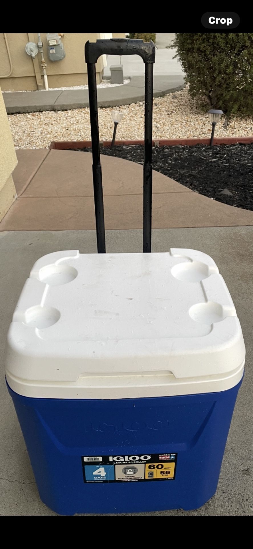 Camping Cooler