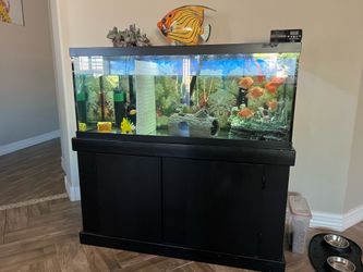 Fish tank aquarium (Complete set)