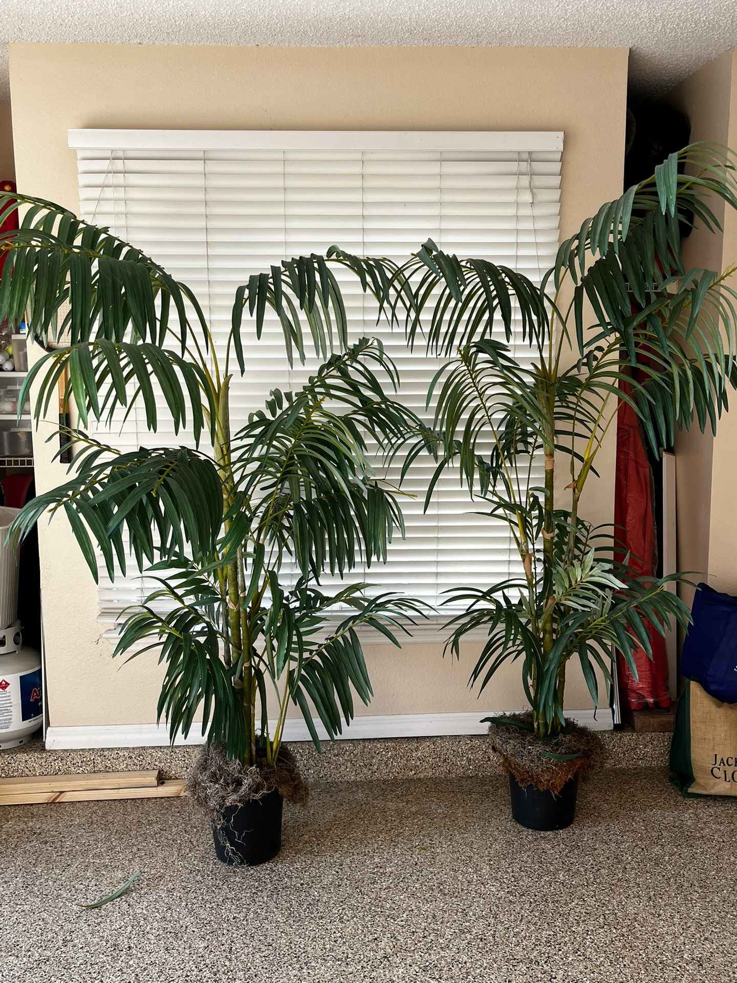 7 Ft Silk Palms