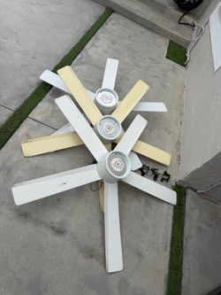 Free fans