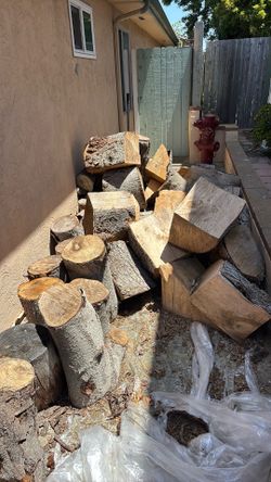 Firewood