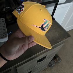 Brand new Tampa Ray’s hat 