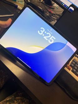 iPad Pro 11 inch (M4) 256 GB WiFi + cellular