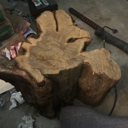 Thick Perfectly Cut Maple Wood Tree Bark