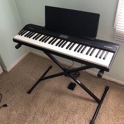 Roland GoPiano