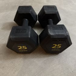 25LB Dumbbells