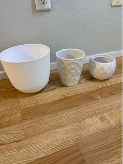 3 white pots