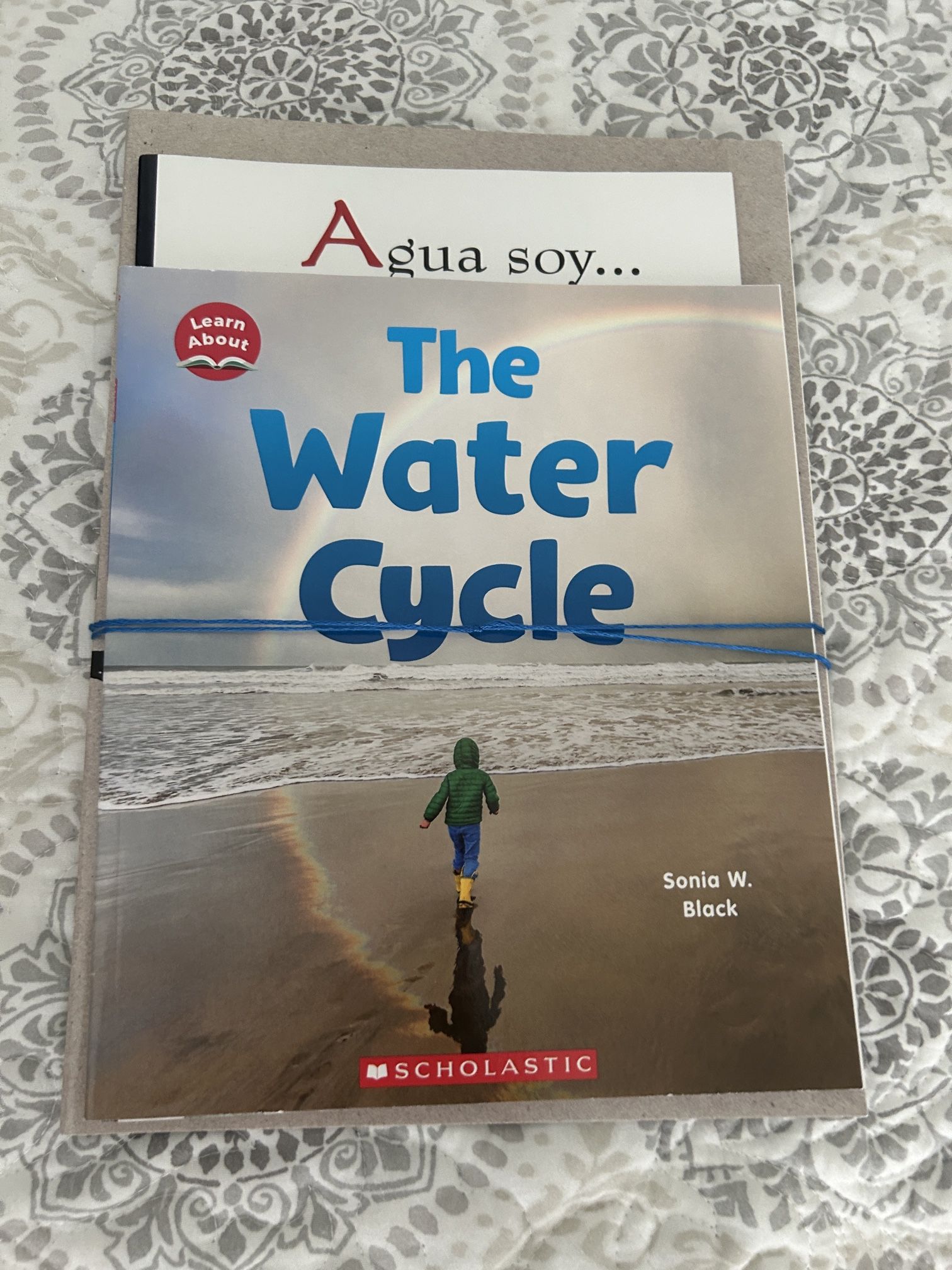 Book Bundle