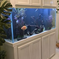 150 Gallon Aquarium.
