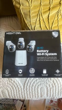Night owl security system