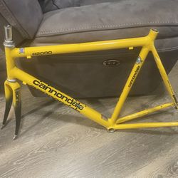 Cannondale  Bike  R2000 