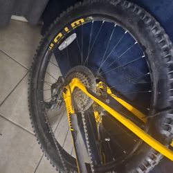 Fuji Bike