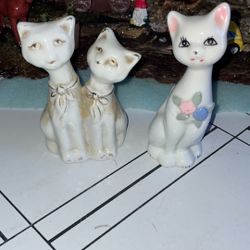 Glass Cat Collection 