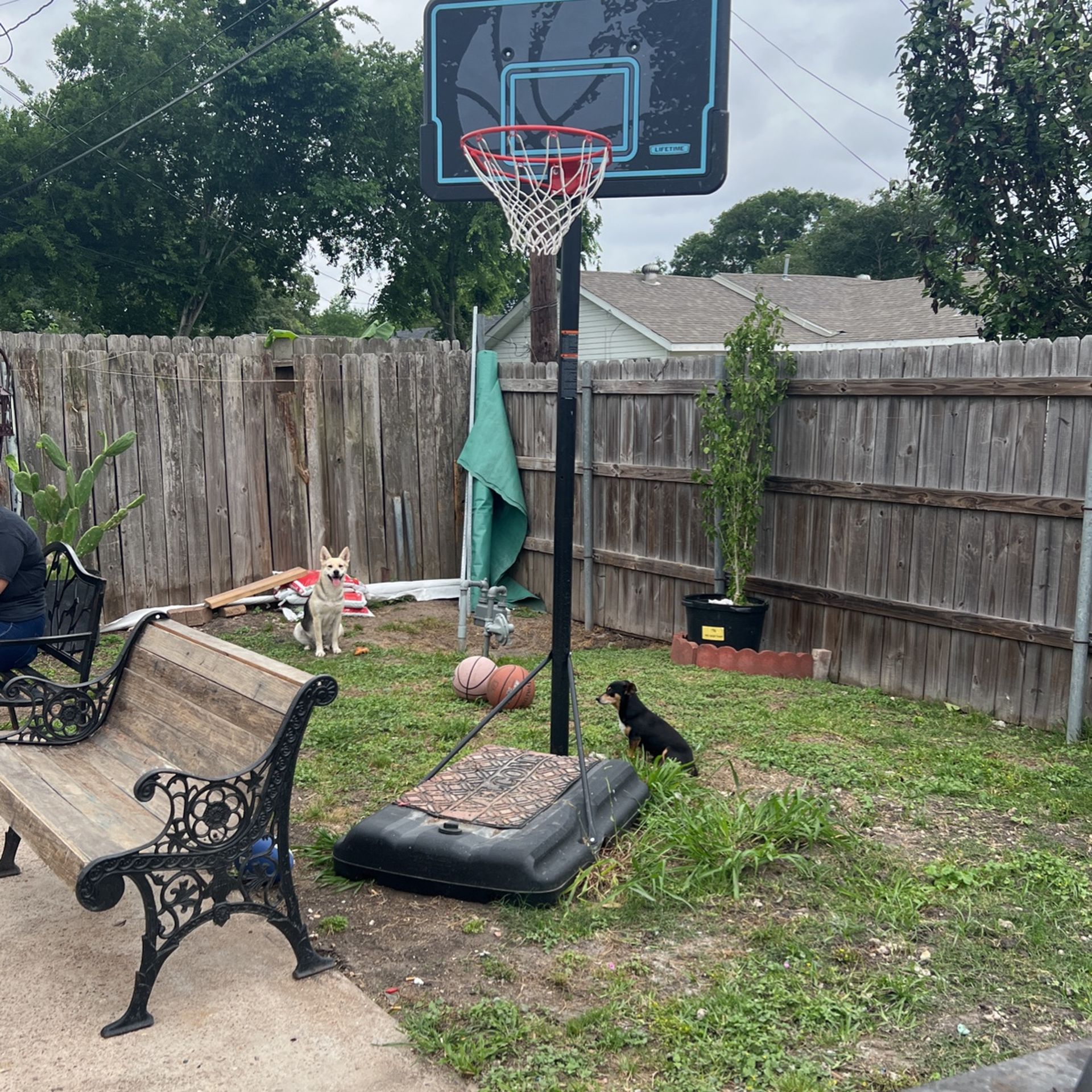 basketball hoop 