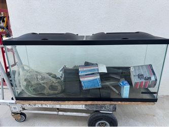 100 gallon fish tank