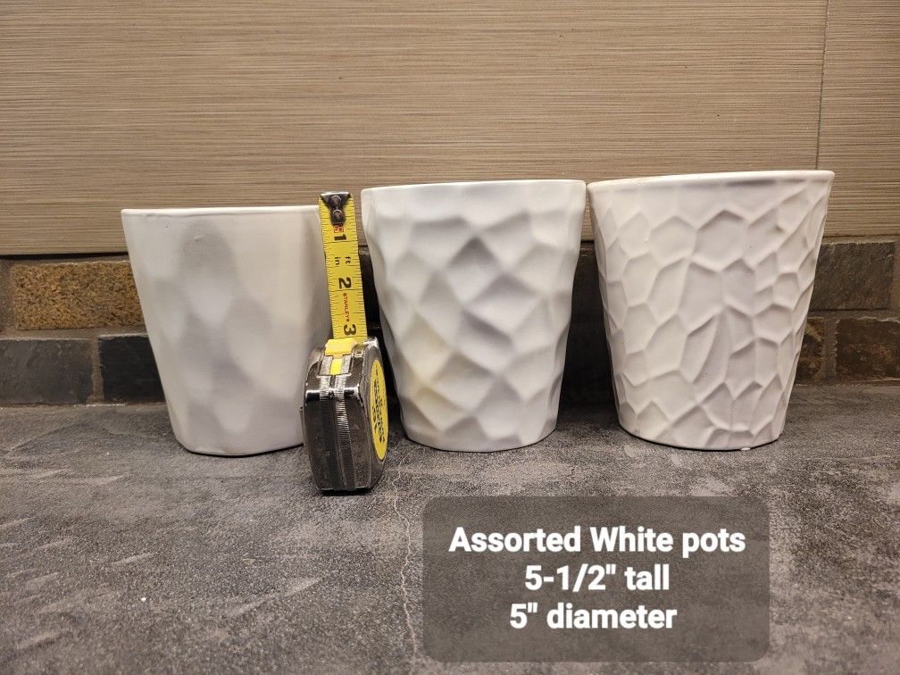 Assorted Orchid/ Flower Pots
