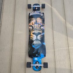 Special Skateboard Longboard 