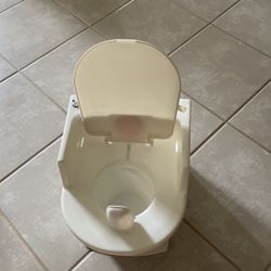 Century Toilet Seat For Training Toddlers 