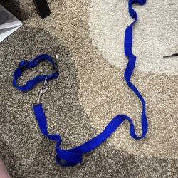 Dog Leash And Collar 