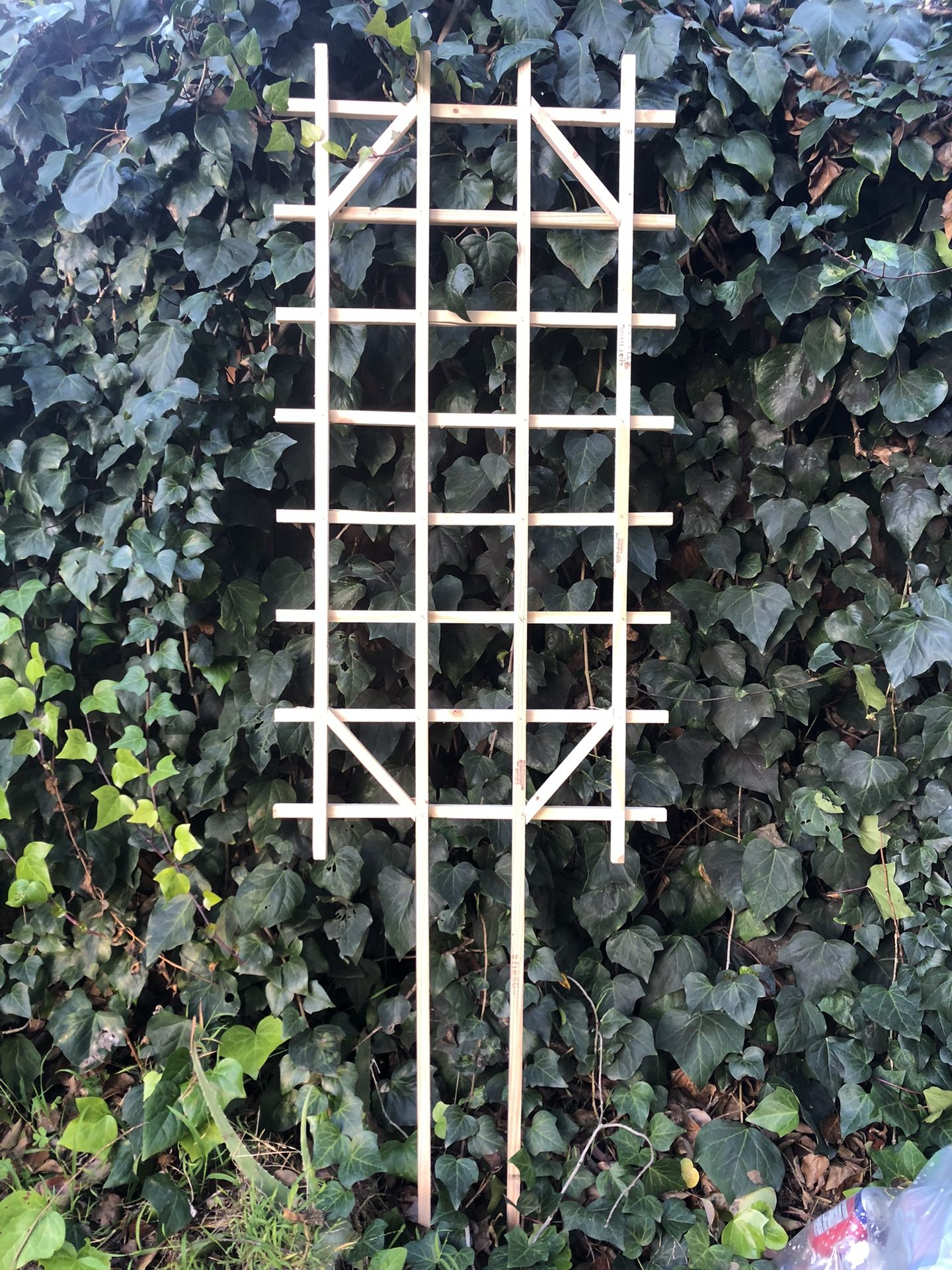 Trellis NEW 24”x48”